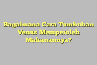 Bagaimana Cara Tumbuhan Venus Memperoleh Makanannya?